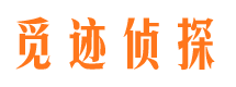 临清市婚外情调查